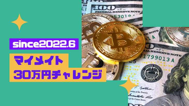 【FXマイメイト】初回：AIで自動売買をしてくれる”マイメイト”始めました！