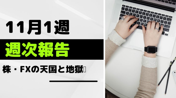 【11月1週 運用報告】天国と地獄がいっぺんにきた!!