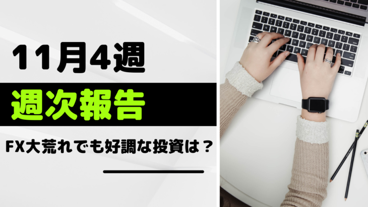 【11月4週 運用報告】FX大荒れ！生き残りそうなほったらかし投資とは？